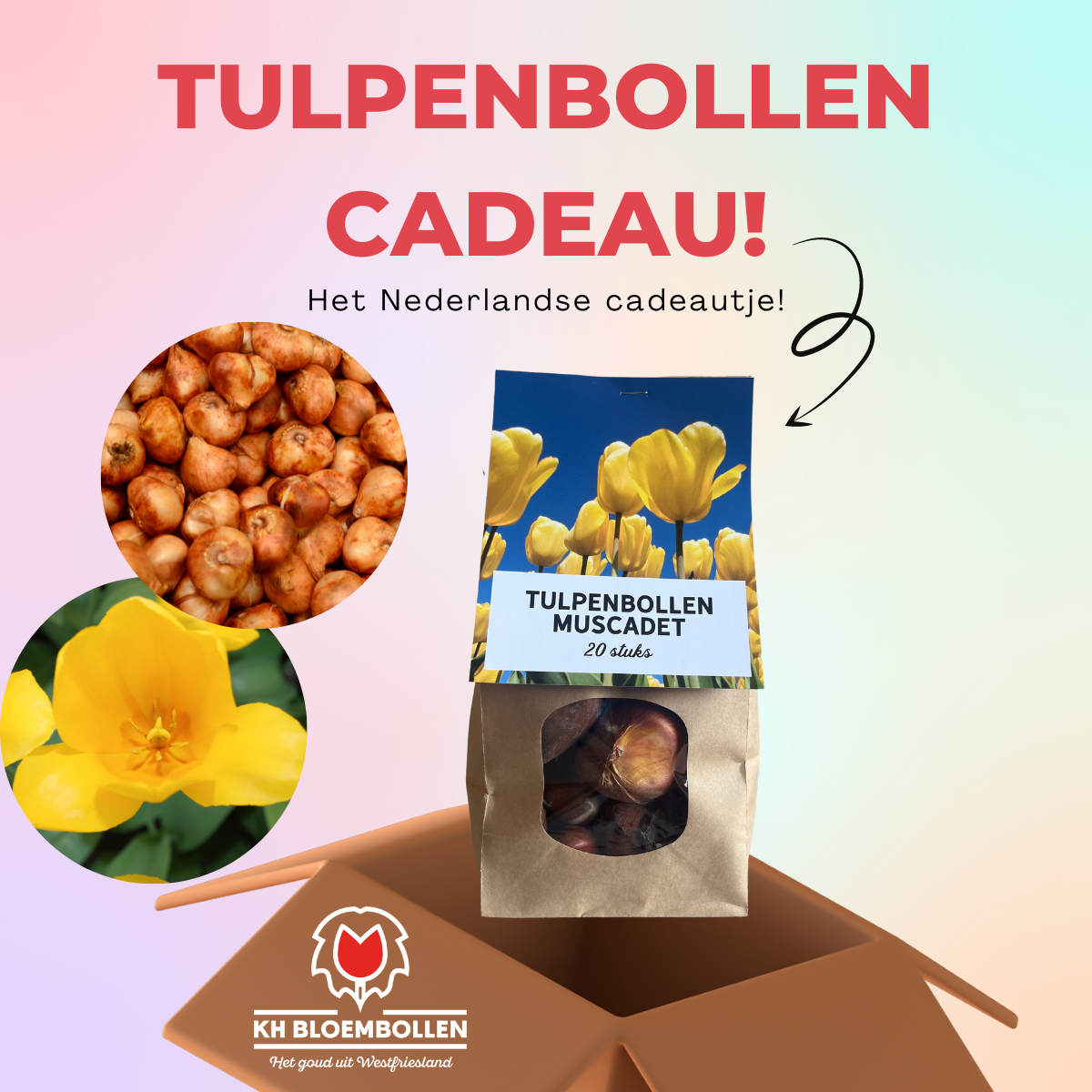 Muscadet relatiegeschenk
